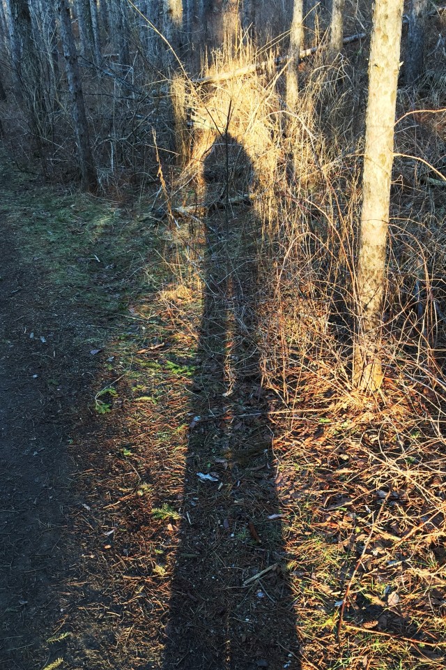 backpacker glory.jpg