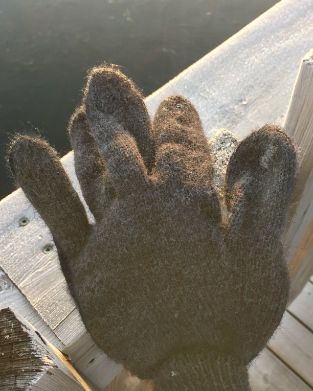 wool glove.jpg