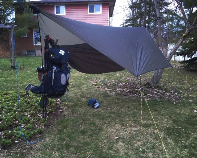 hanging in the backyard