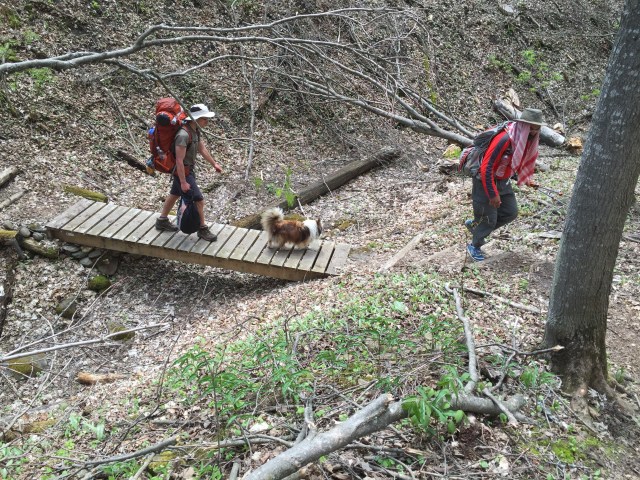 70lb hiker & Soheil w Delta