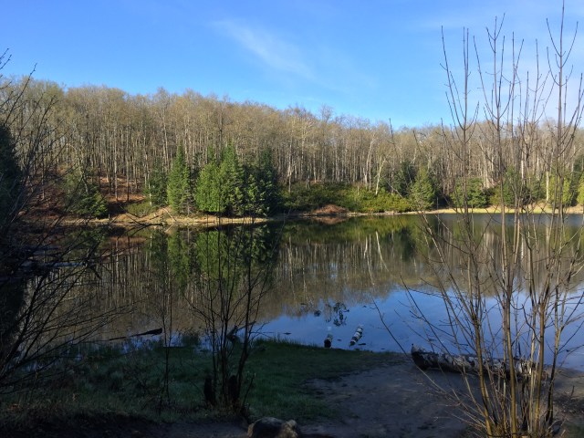 McCarston's Lake Mono Cliffs
