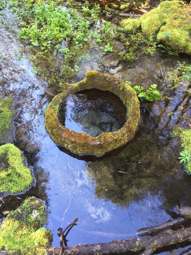 Sheldon Spring in Mono Cliffs