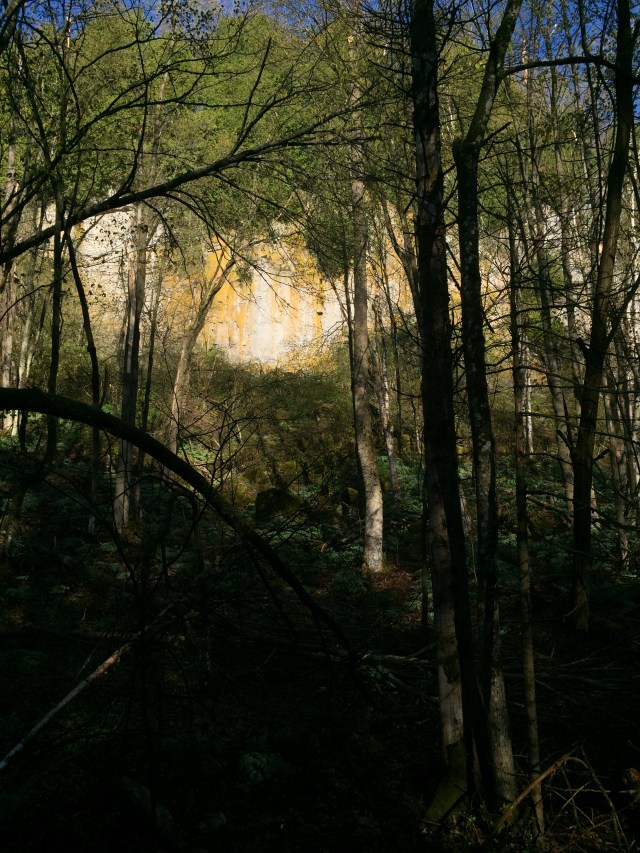 yellow cliffs of Mono Cliffs Park with vulture